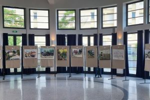 Salies a peindre 2026 Rotonde Expo